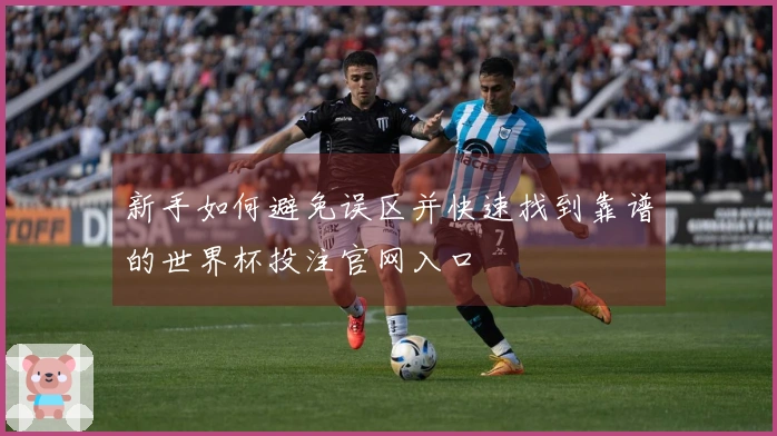 新手如何避免误区并快速找到靠谱的世界杯投注官网入口