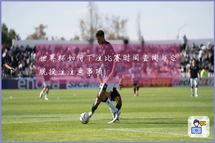 世界杯如何下注比赛时间查询与合规投注注意事项