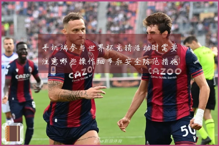 手机端参与世界杯竞猜活动时需要注意哪些操作细节和安全防范措施