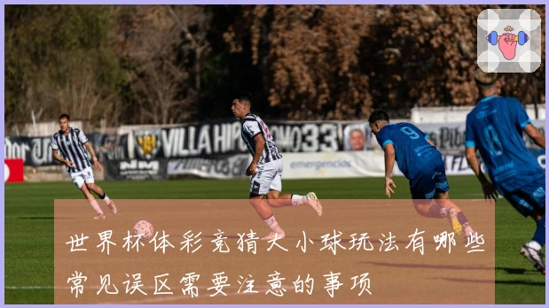 世界杯体彩竞猜大小球玩法有哪些常见误区需要注意的事项