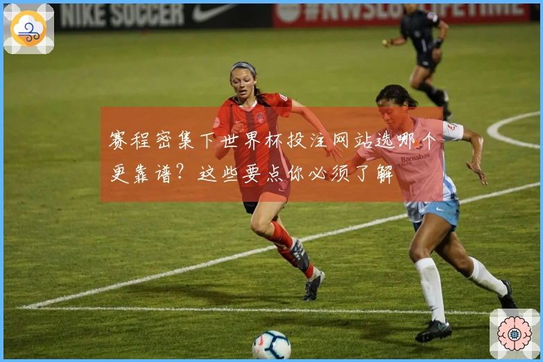 赛程密集下世界杯投注网站选哪个更靠谱？这些要点你必须了解