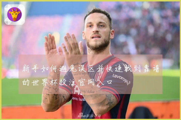 新手如何避免误区并快速找到靠谱的世界杯投注官网入口