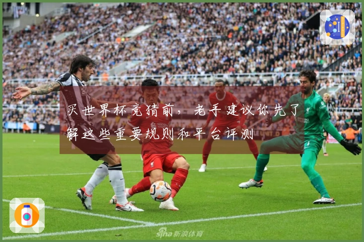 买世界杯竞猜前，老手建议你先了解这些重要规则和平台评测