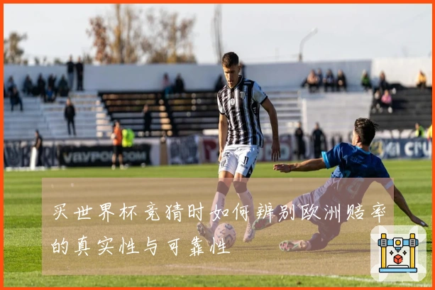 买世界杯竞猜时如何辨别欧洲赔率的真实性与可靠性